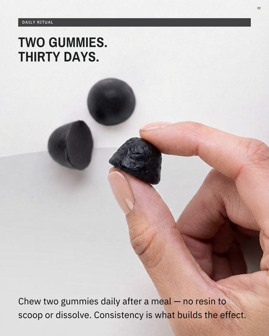 Shilajit Extract Gummies by Wellbalance