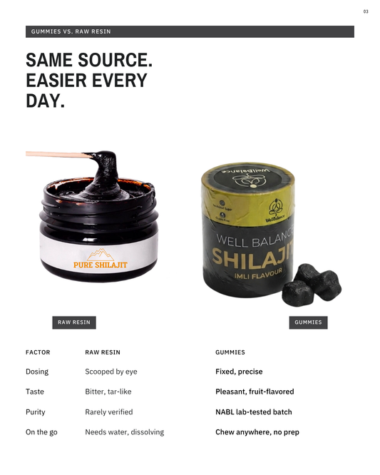 Shilajit Extract Gummies by Wellbalance